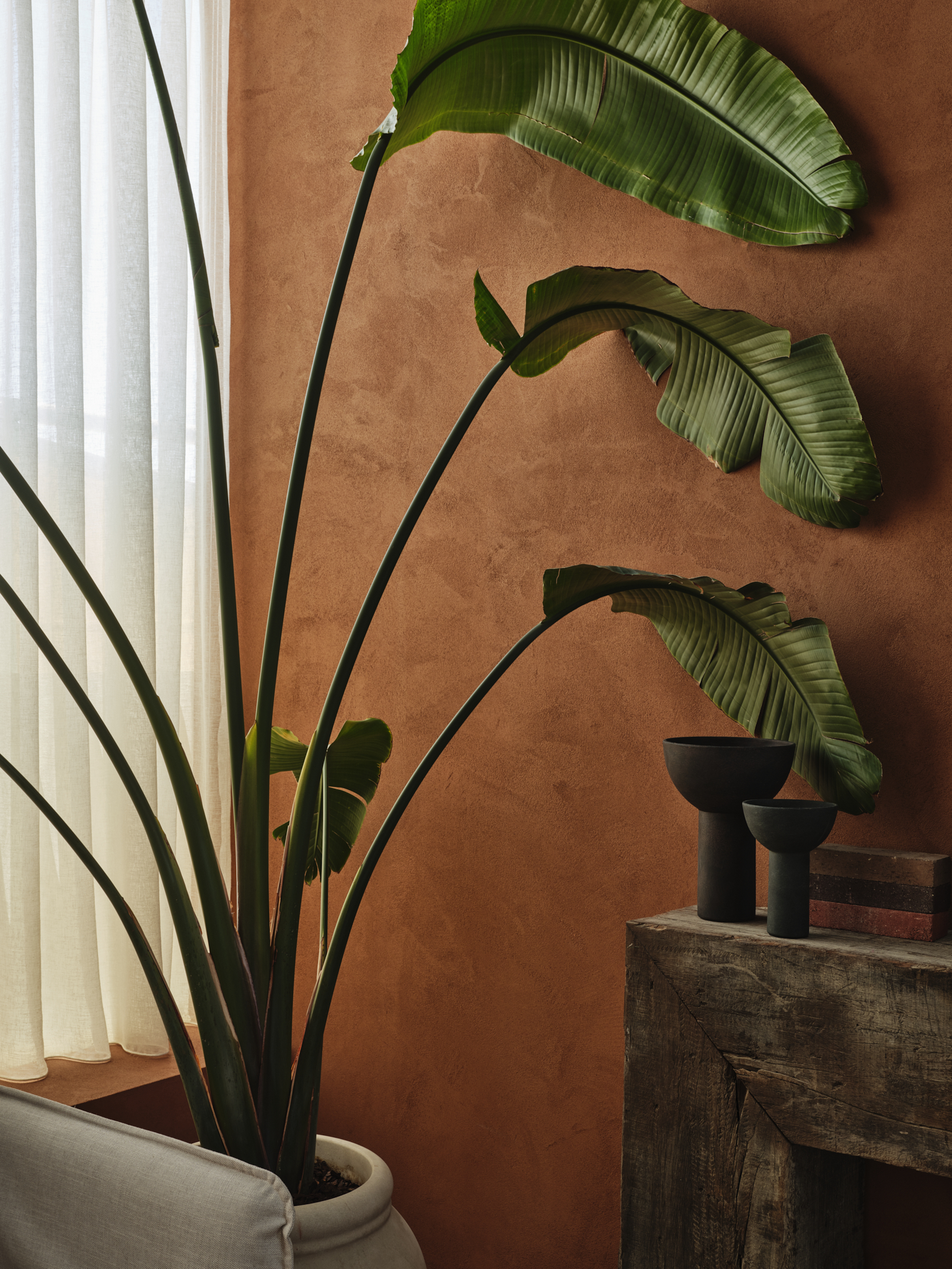 Studio 梅沙里·阿尔纳萨尔-7