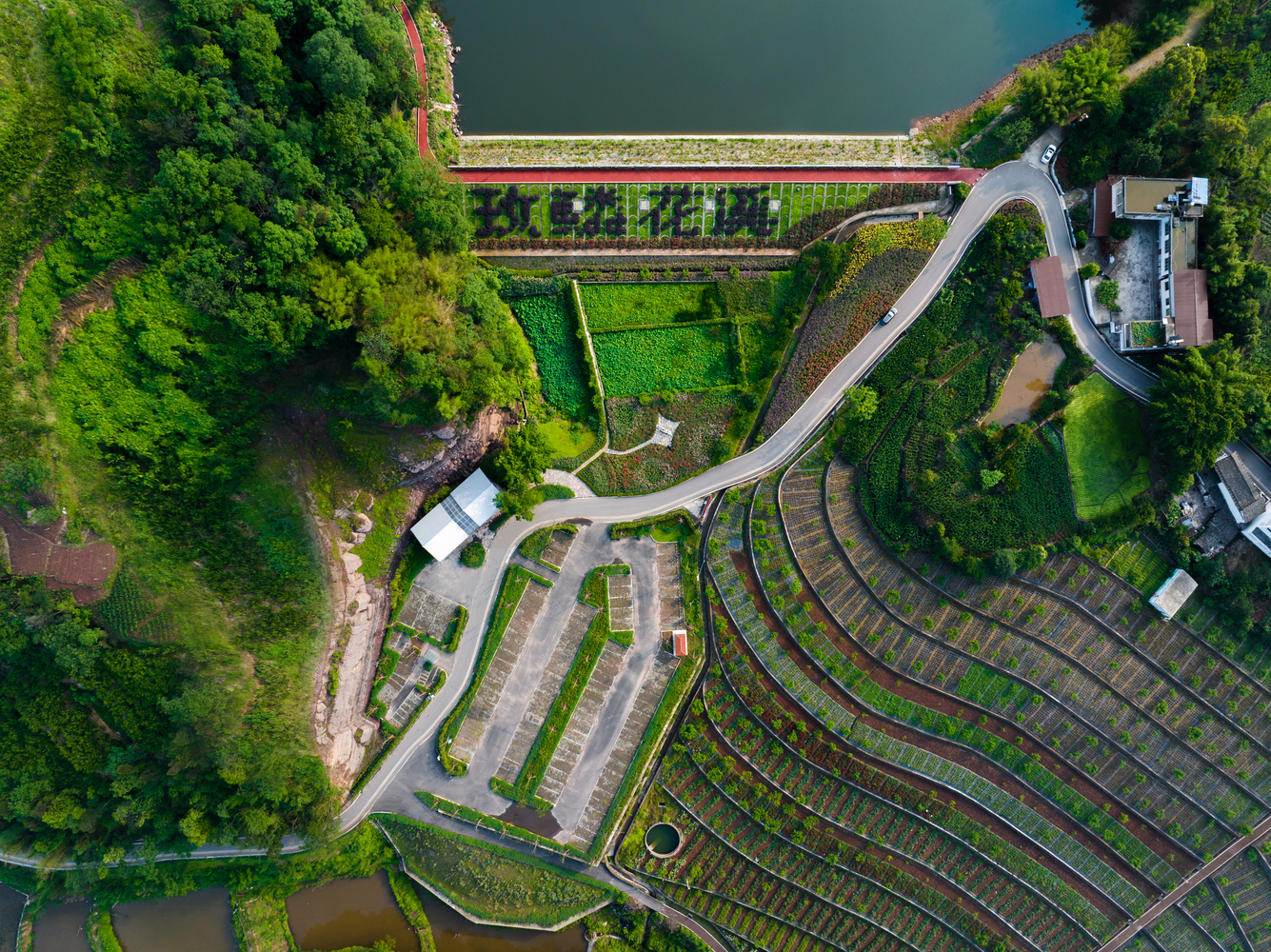 四川棕榈厕所丨中国四川-28