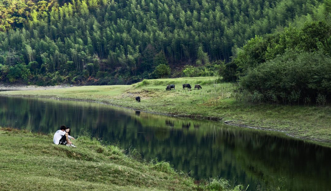 数一轮晨夕 折一朵明媚 | 安吉小杭坑营地-16