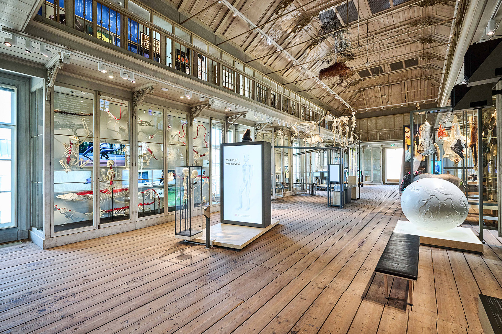 荷兰 Groote 博物馆丨Kossmanndejong+ARTIS-17