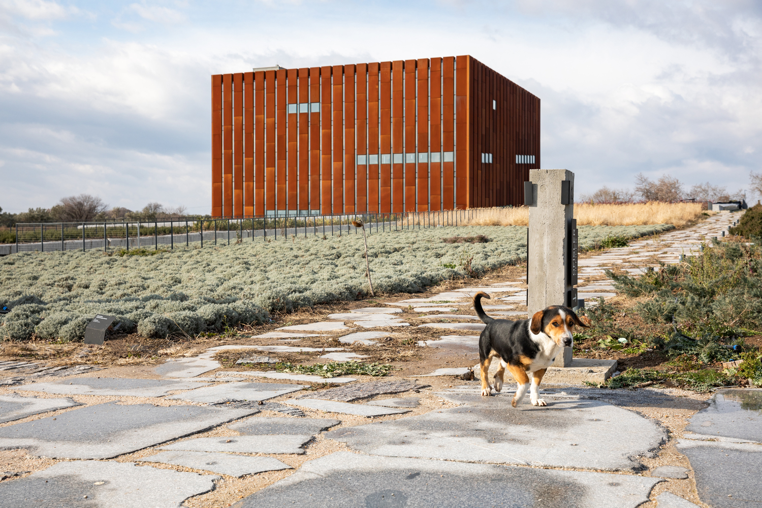 特洛伊博物馆-24