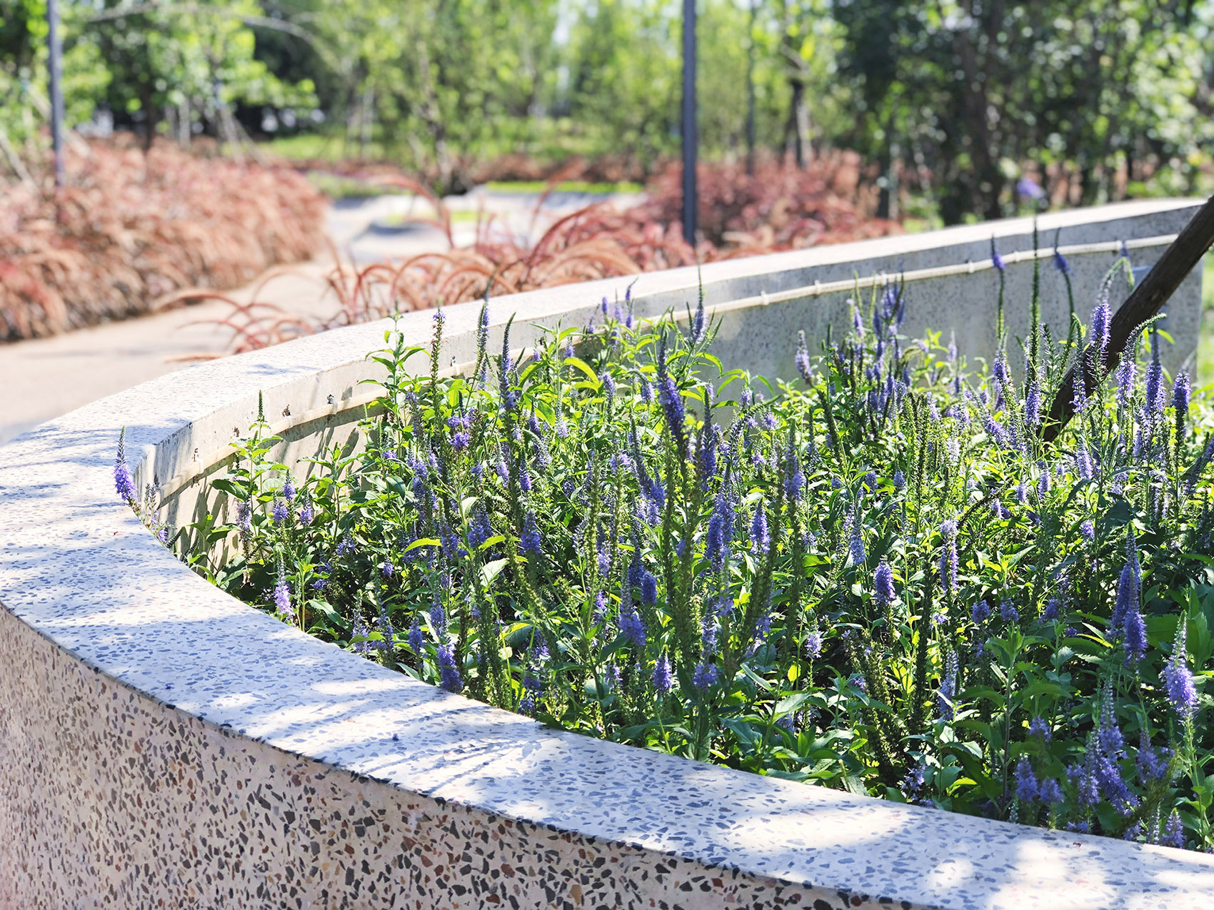 北京西长安街文化艺术公园-53