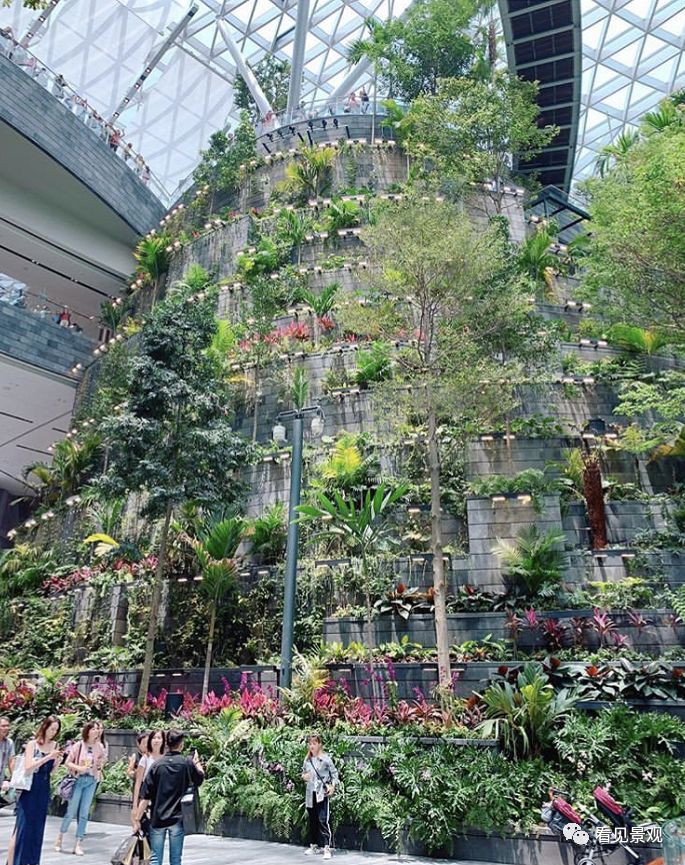 星耀樟宜 | 雨漩涡与绿意交织的机场奇迹-34