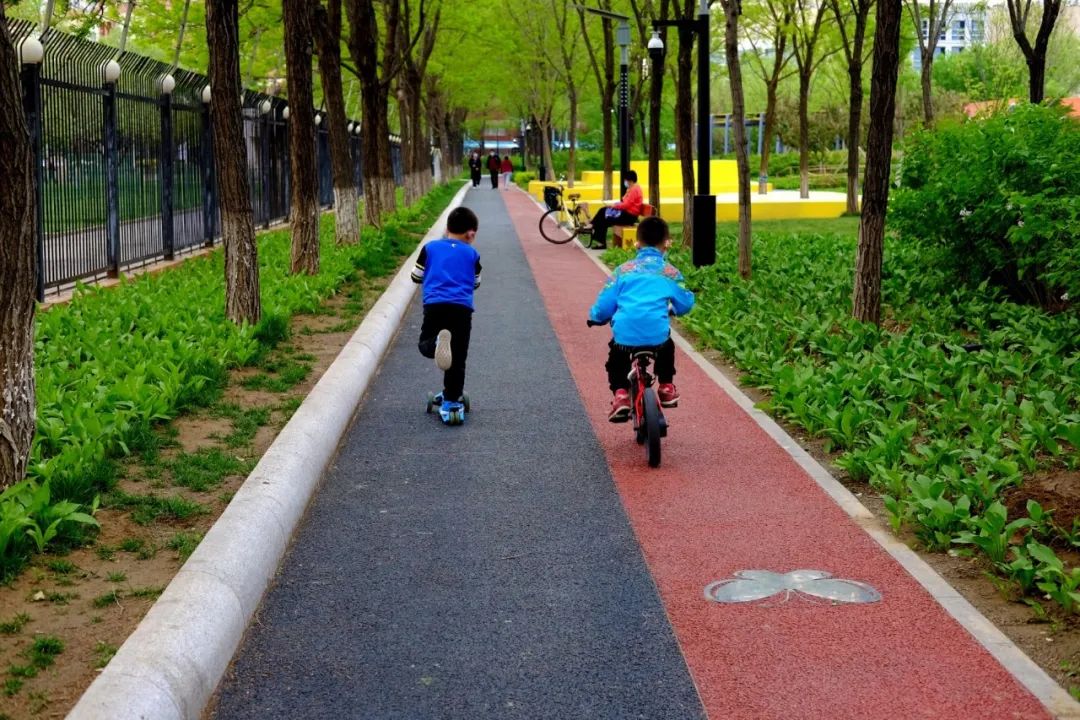 经开区9号绿地景观提升项目(海棠公园)丨中国北京丨北林地景-59