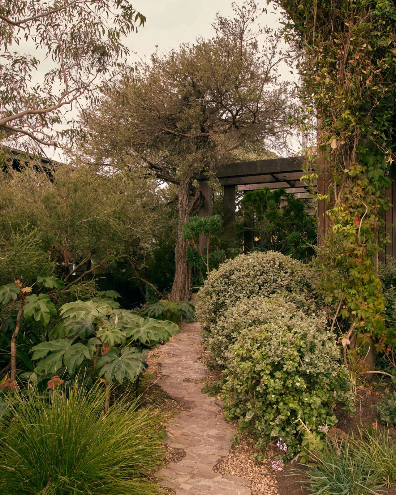 洛尼小屋｜Little Lonnie丨加拿大维多利亚丨埃德温娜·格伦-20