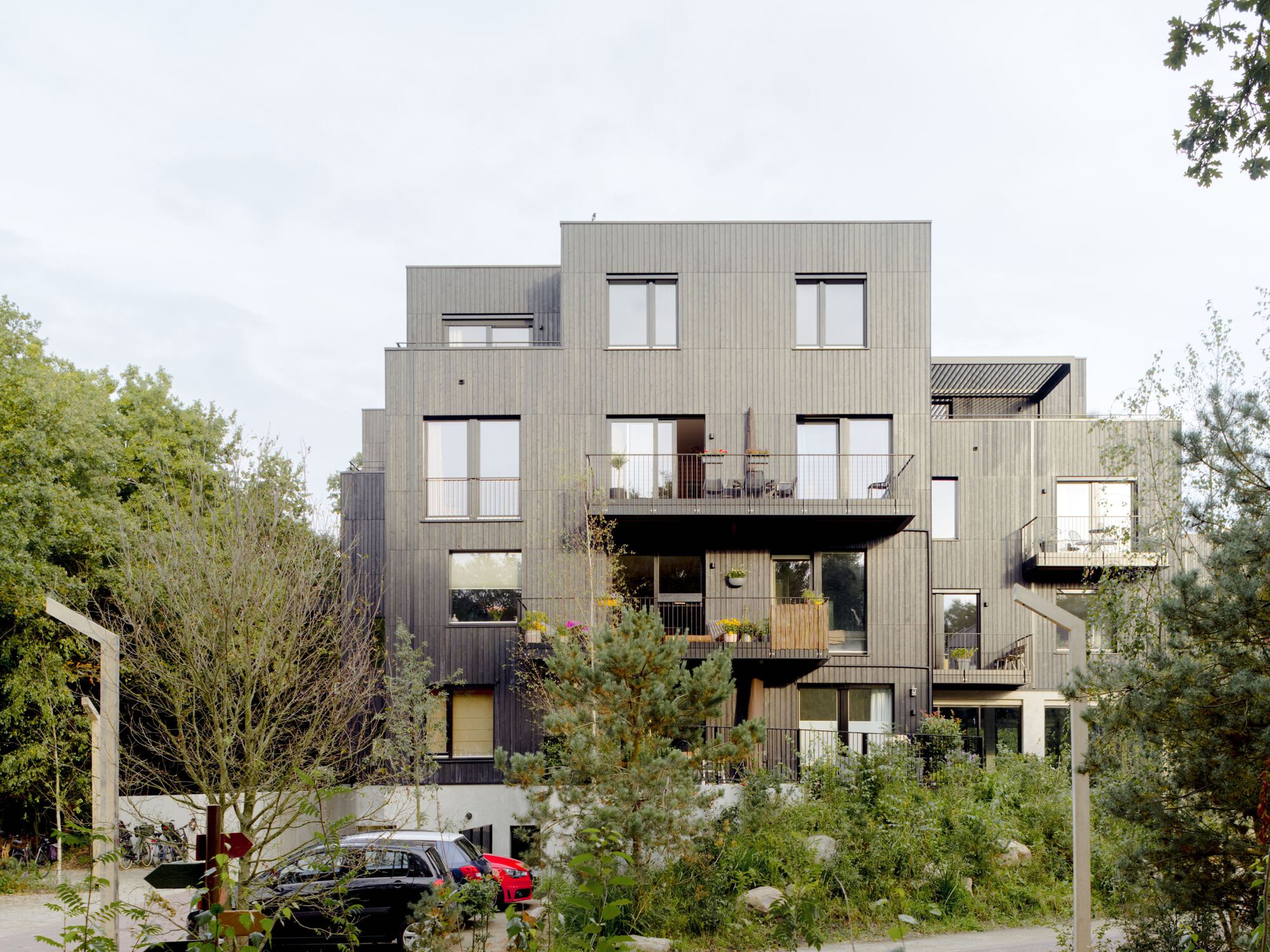 普通木材丨荷兰阿默斯福特丨Space&Matter-32