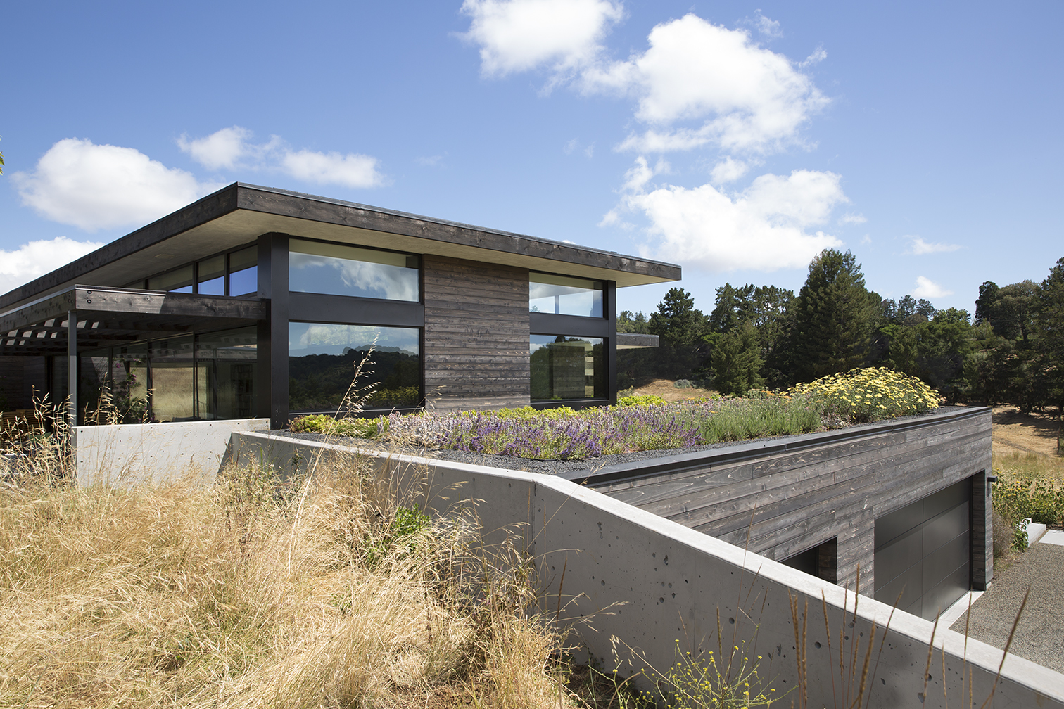 THE MEADOW HOME Feldman Architecture-8