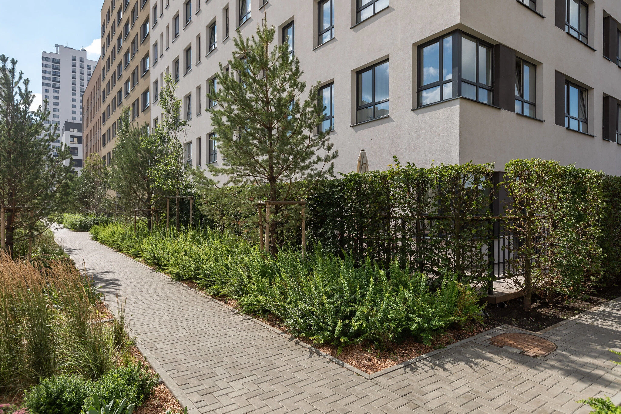 Sukhodolsky 公共公园和庭院丨俄罗斯丨LEVS architecten-45