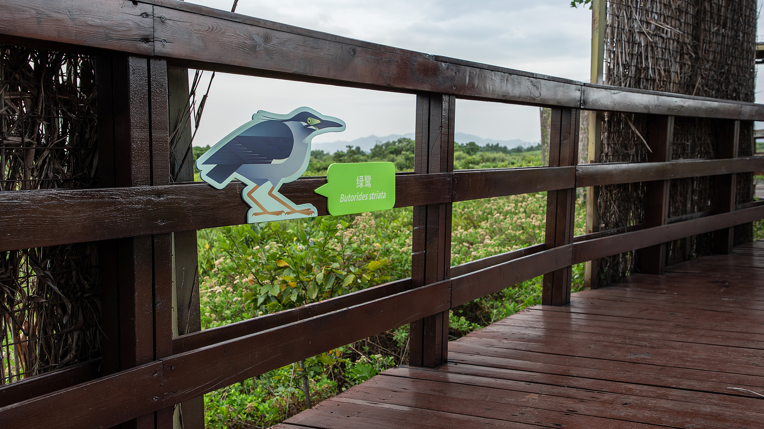 深圳红树林生态公园户外科普互动导视设计丨中国深圳丨共生领域(北京)文化传媒有限公司-30