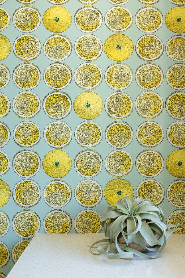 亚利桑那州图森市百年老宅翻新设计丨美国图森丨Prideaux Design 和 Alta Constructors-13