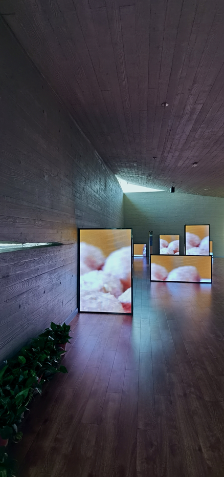 汪曾祺纪念馆-53