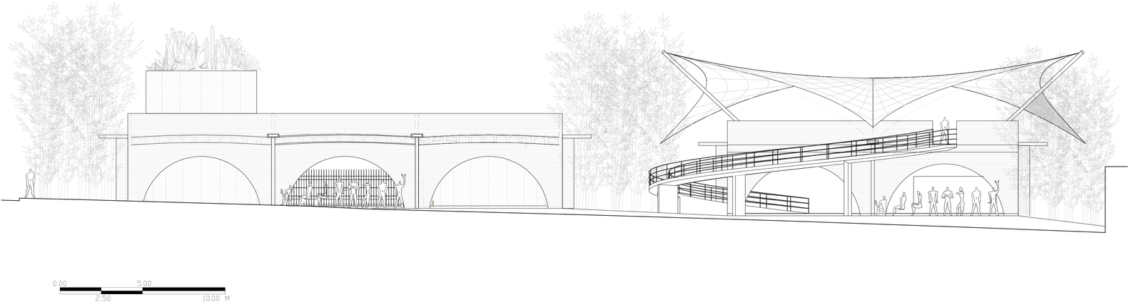 墨西哥 Jojutla 学校-48