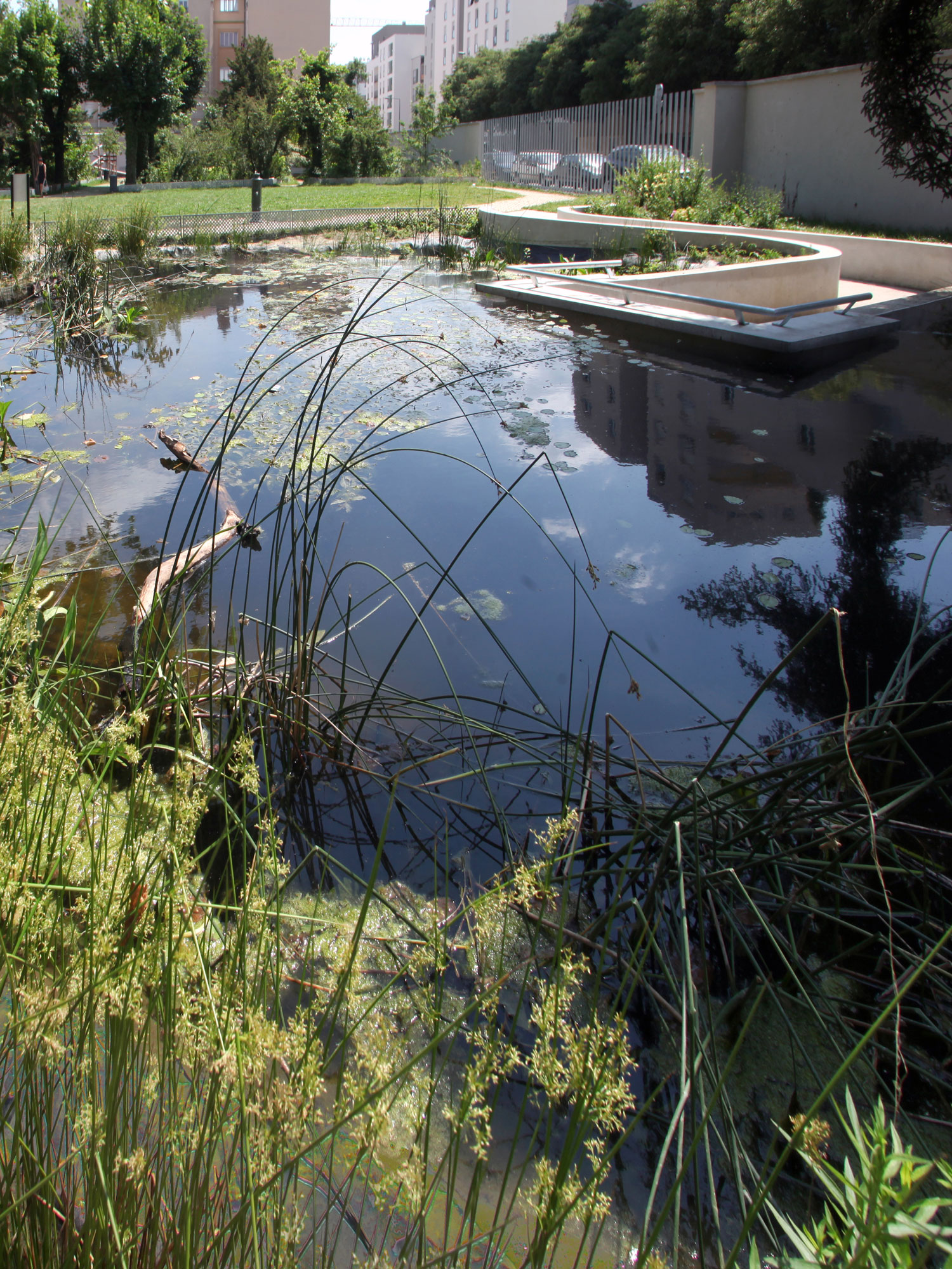 城市教育绿洲 · 埃德瓦·格利桑特花园-11