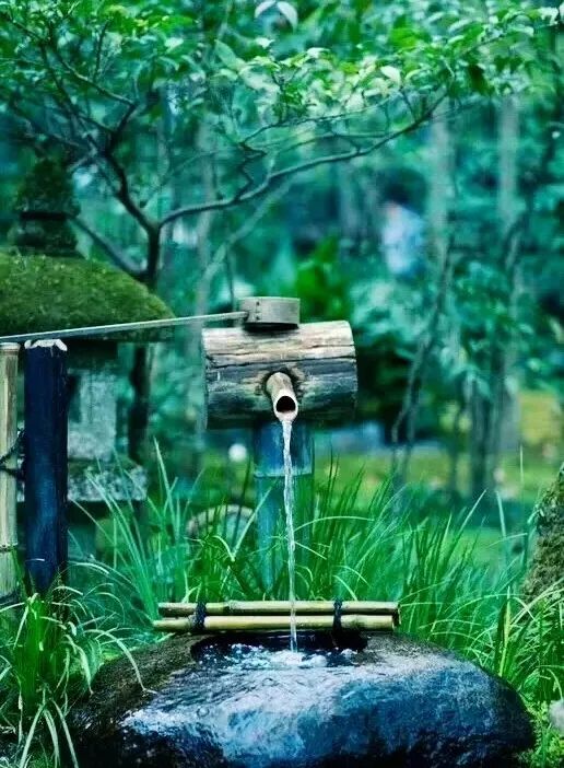 水中翠绿的诗意 | 菖蒲在园林设计中的应用-21