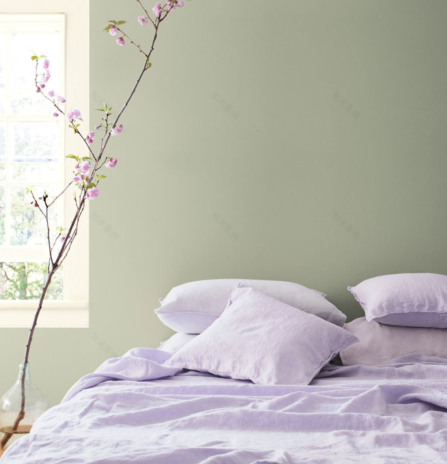 2022 年室内设计色彩趋势 | Benjamin Moore 的淡雅春季调色板-6