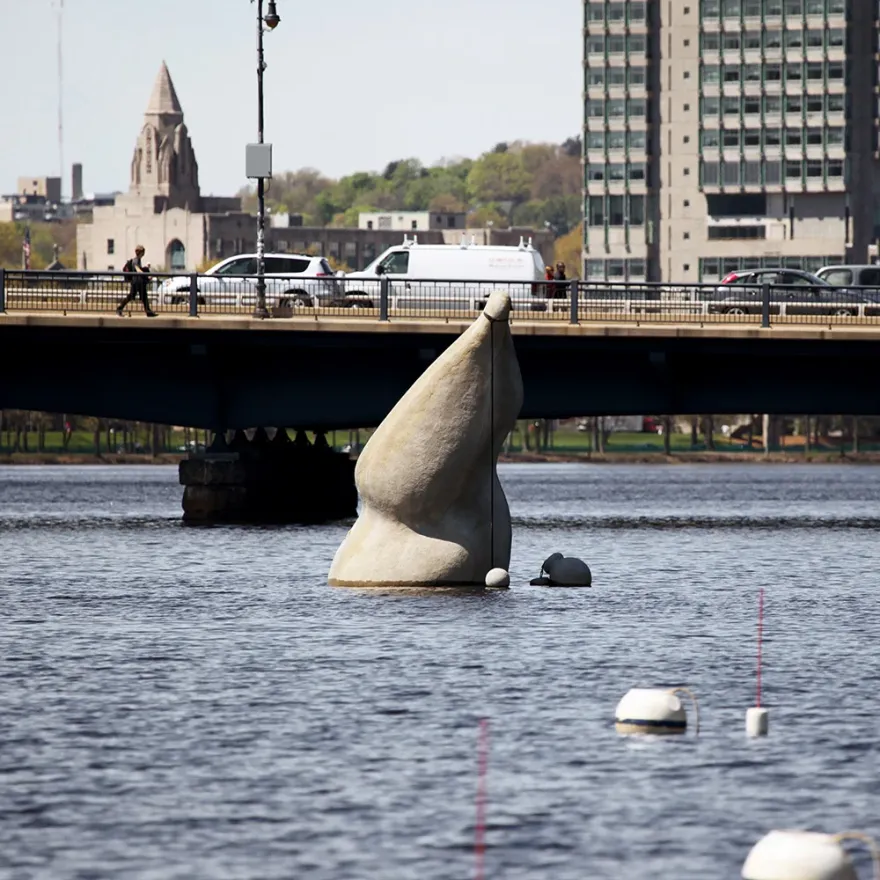 浮标石 · 材料设计丨美国丨未明确体现-5