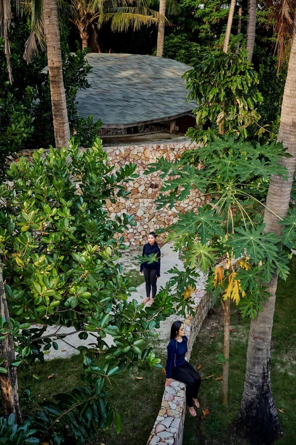 将自然引入空间 | 生态建筑 · 8款-55