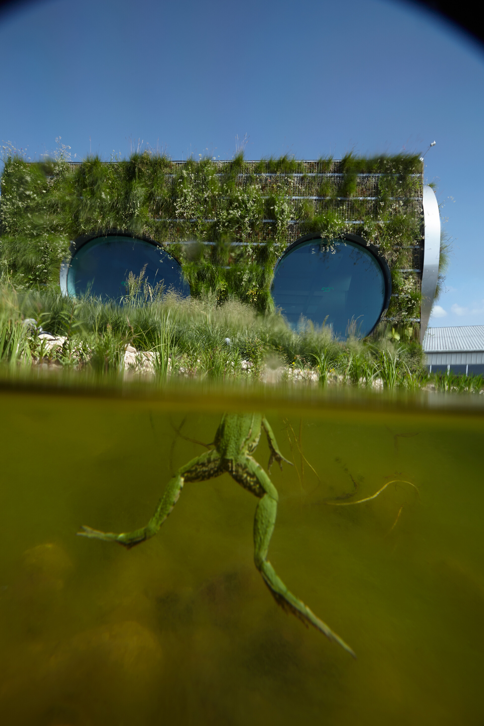 Slavkov u Brna 实验结构-13