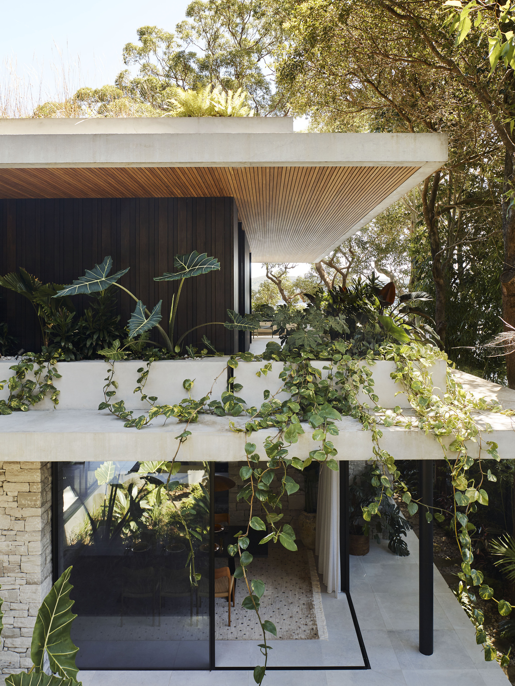 M 屋丨澳大利亚丨Rama Architects-19