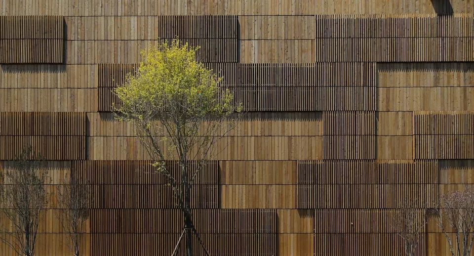 延庆世园会生活体验馆——北方乡村聚落的开放空间-54