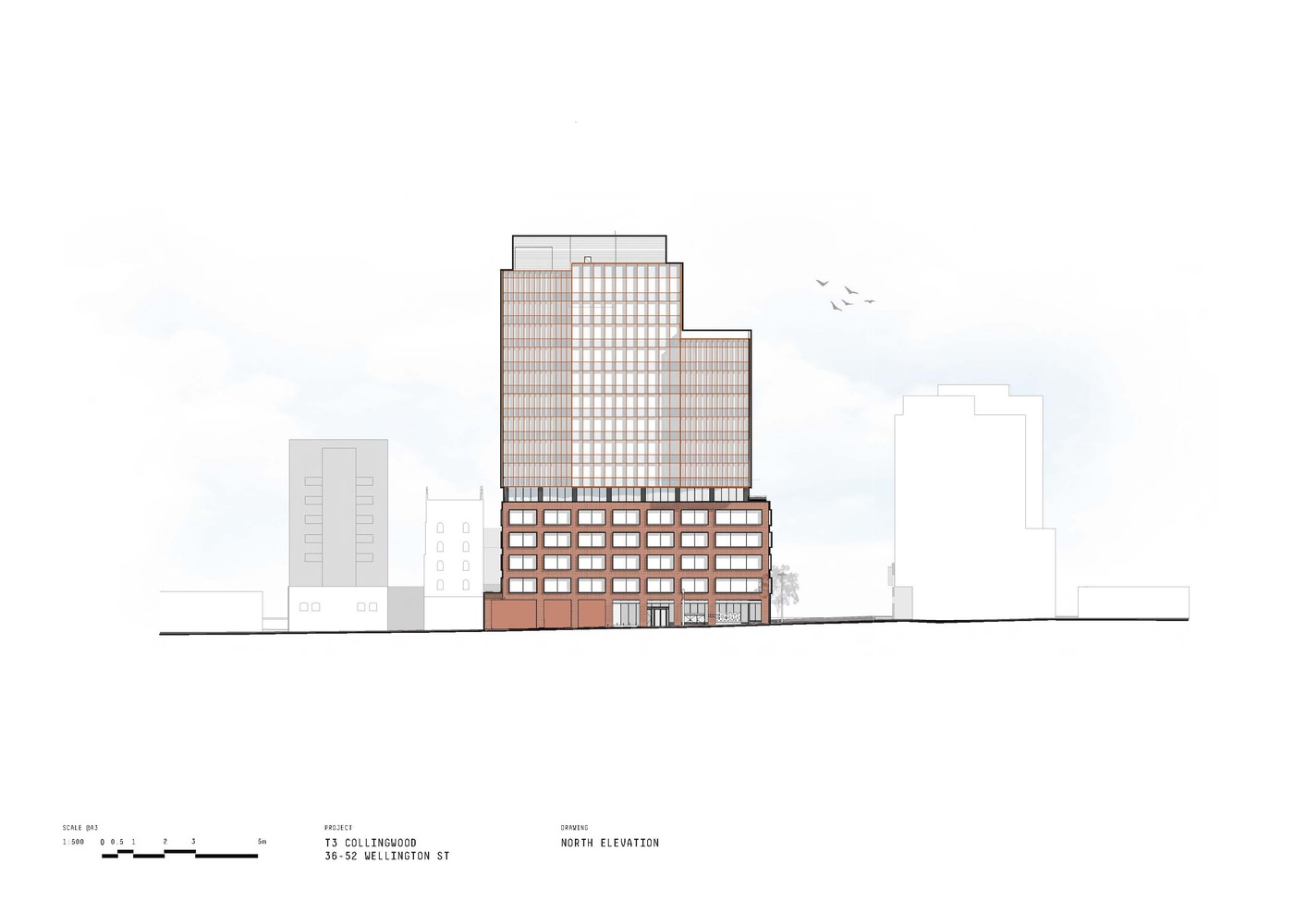 澳大利亚T3科林伍德办公楼丨杰克逊·克莱门茨·布伦斯建筑事务所-33