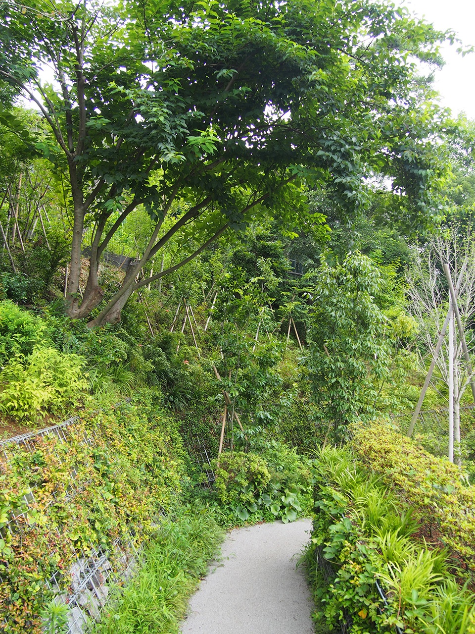 日本横滨南本宿第三公园农园设计丨株式会社户田芳树风景计画-24