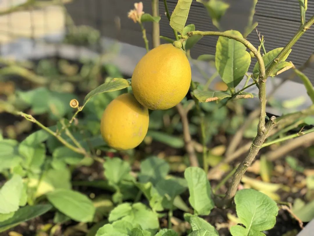 成都创想公社 | 从写字楼到创意仓库的蜕变-112