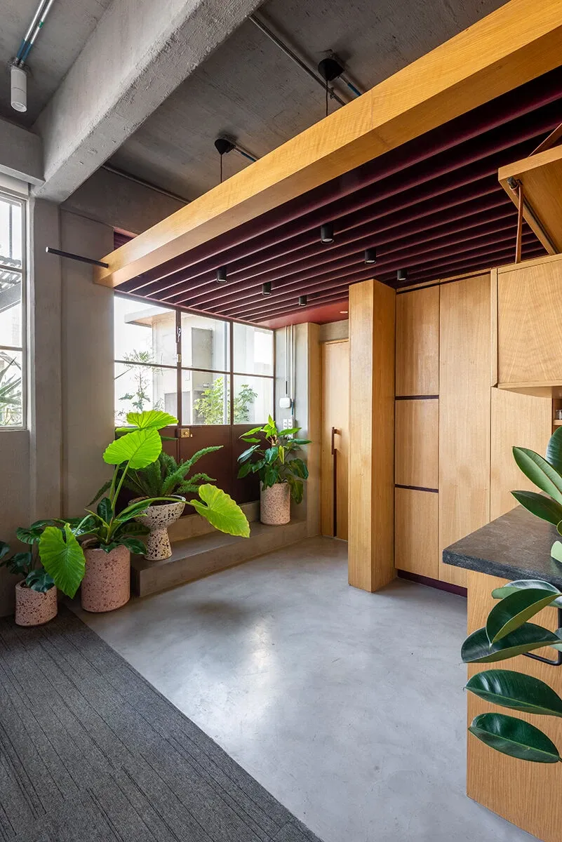 墨西哥城繁忙大道上的空中办公室改造-60