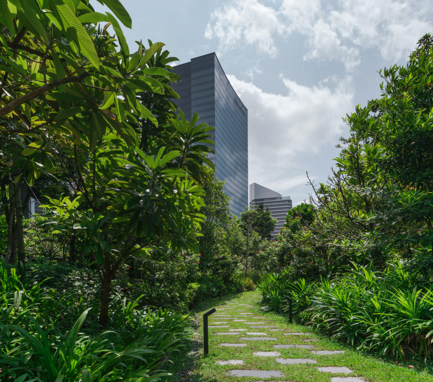 丰树商业城二期丨新加坡丨Shma Company Limited-25