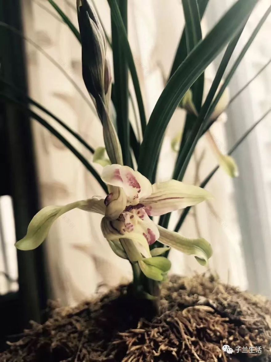 钱兰 | 用设计雕刻生活的温度-33