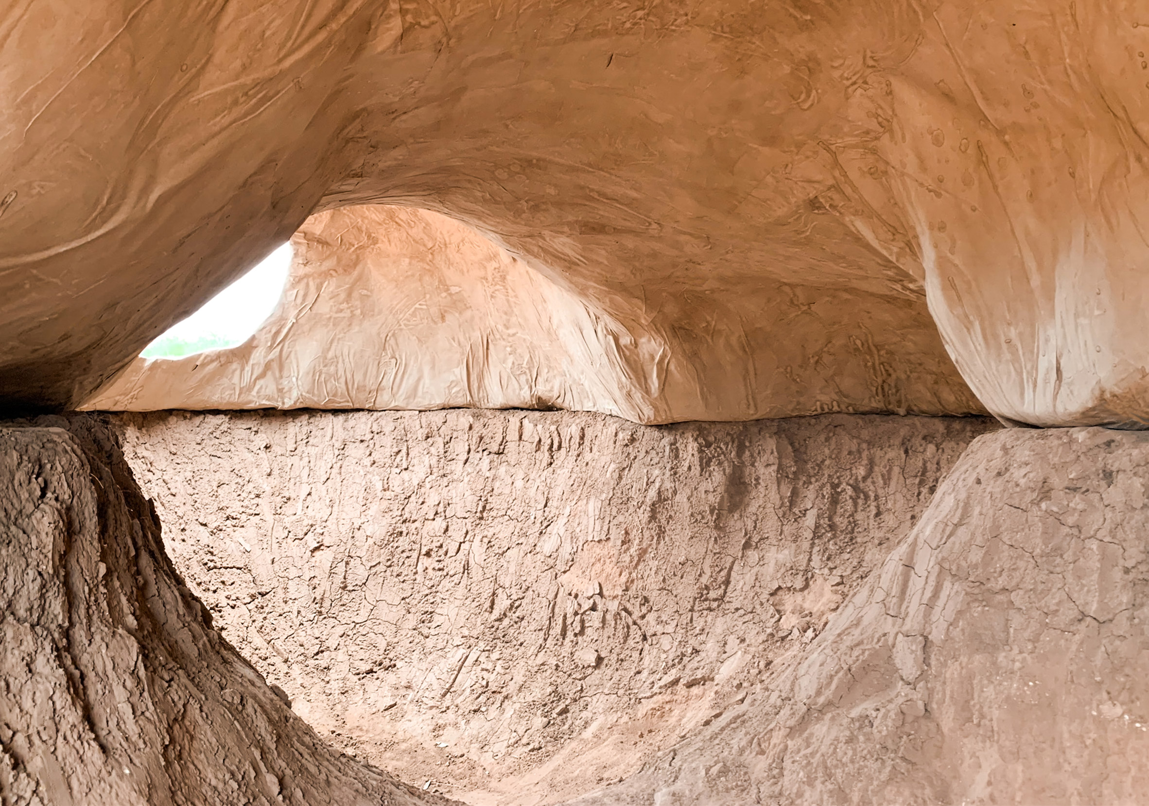 美国设计师在德州农场打造“世界最大纸浆建筑”-9