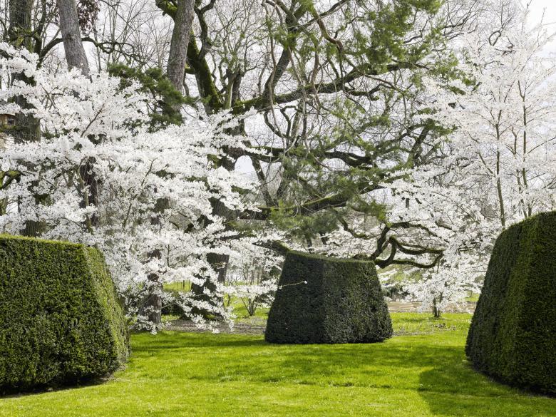 Geneva项目(未明确具体名称)-5