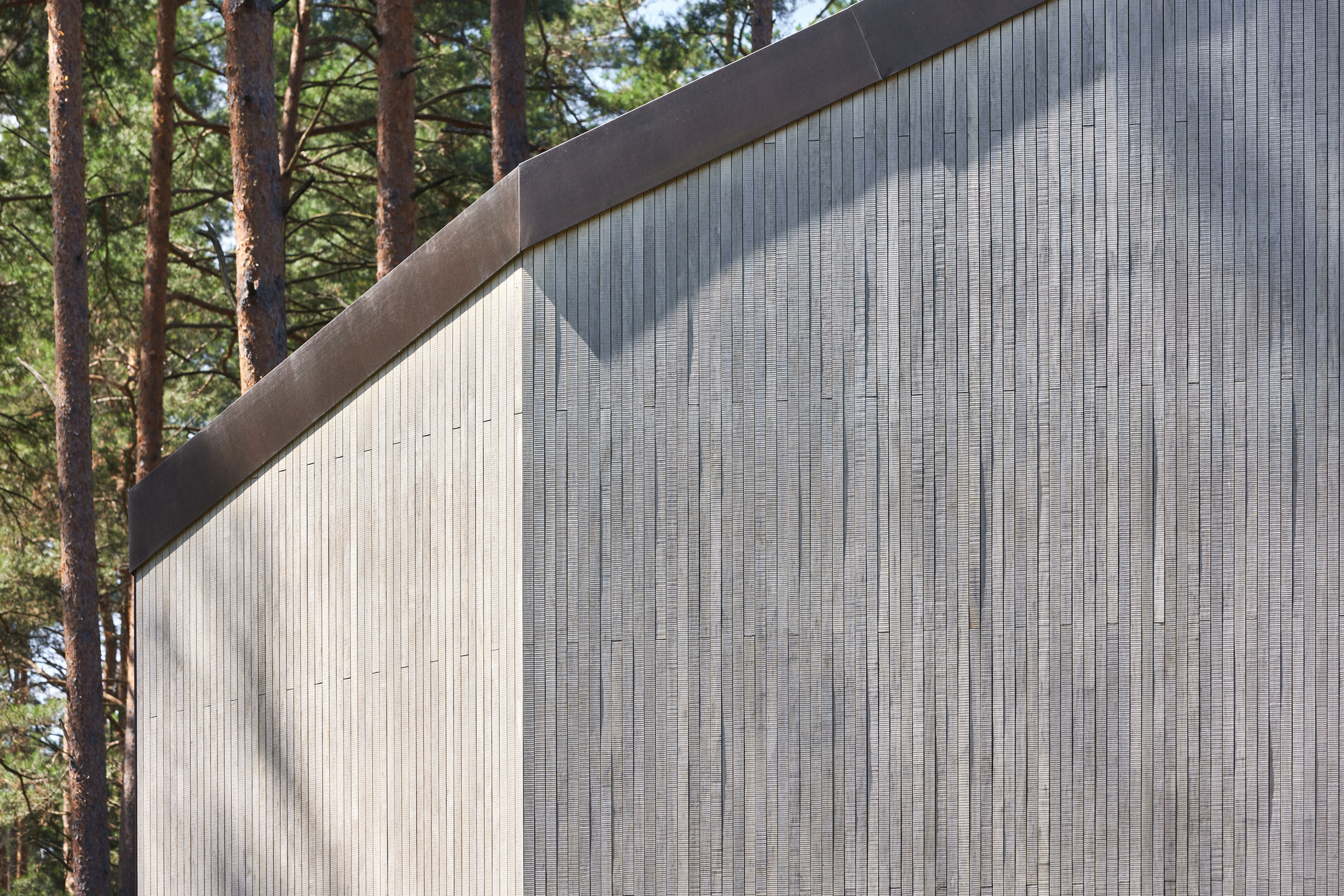 森林中的房屋丨立陶宛维尔纽斯丨Architektūros linija-43