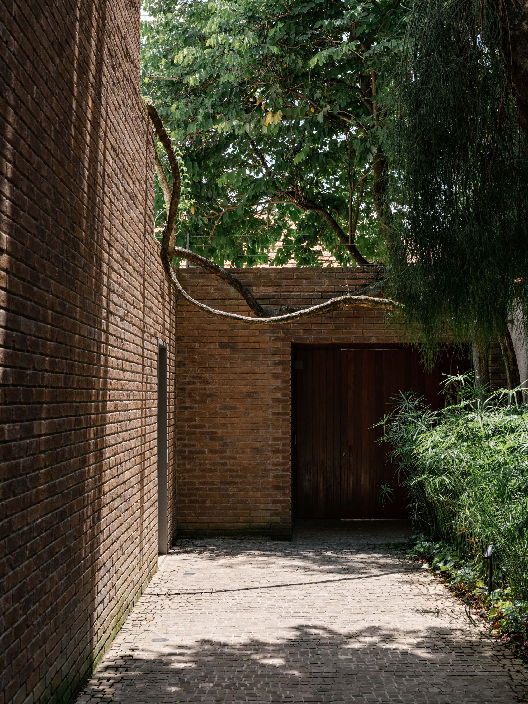 丨巴西圣保罗丨Felipe Hess Arquitetos-38