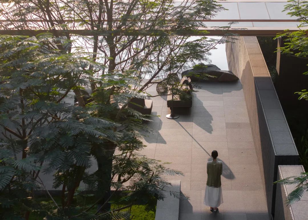 一绿向南，天边有光 | 佛山TIC全球创客小镇 · 时代君林府(大区)-11