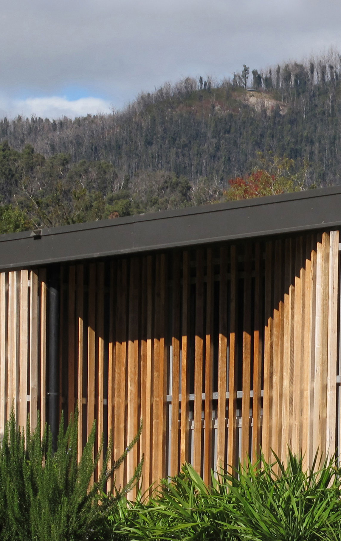 墨尔本建筑师 Kerstin Thompson | 建筑与社区的深度连接-19