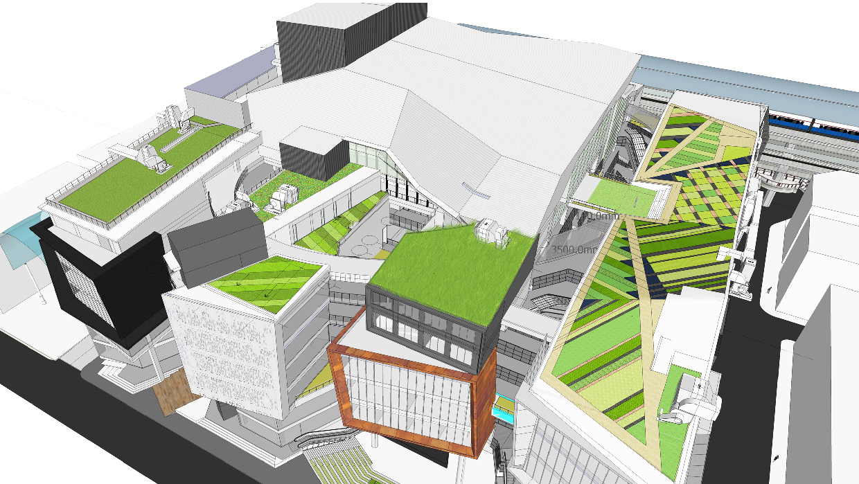 暹罗绿色天空-6