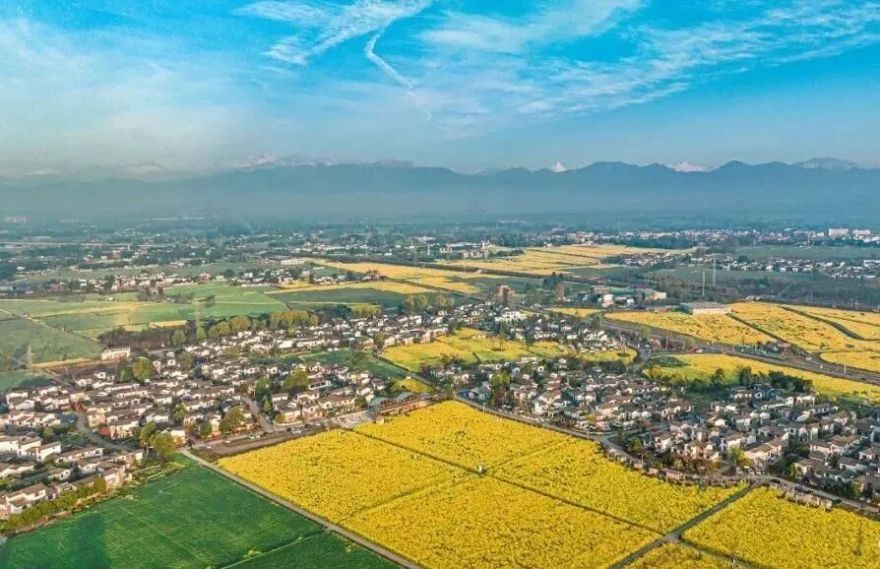 设计服务县市新城高质量发展丨智库力量赋能“天府粮仓”和片区规划,助推崇州高质量发展-7