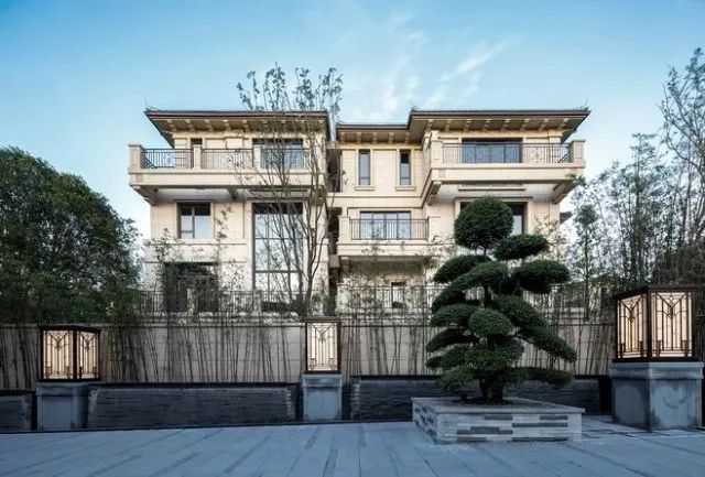 罗汉松 | 庭院中的守财吉祥树-26