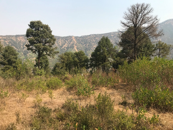 自然共生,心灵栖息的汉华天马山温泉酒店-98