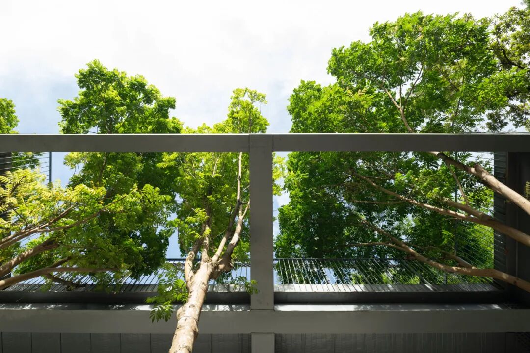 新作|凉帽村改造-103