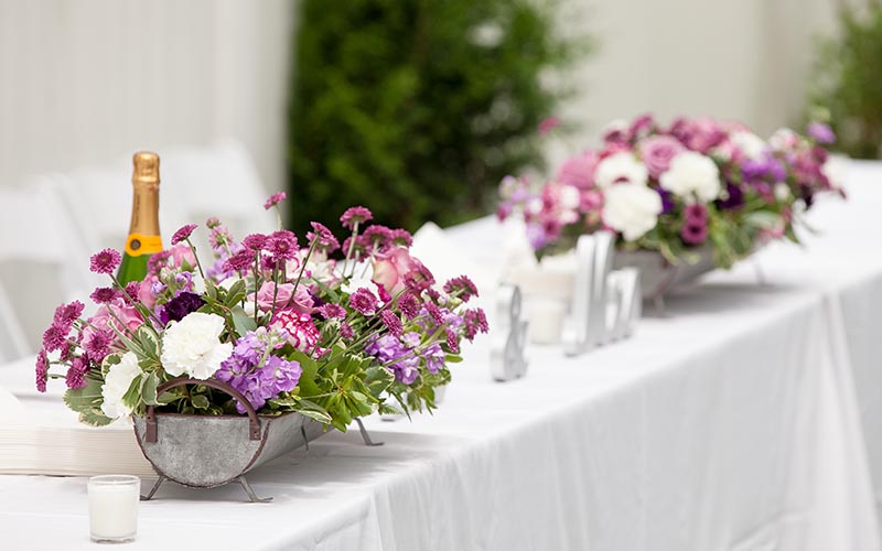 Goldner Walsh温室婚礼场地丨美国密歇根-49