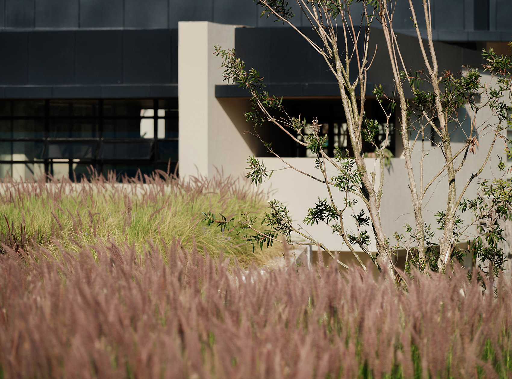 Y 酒店丨中国三亚丨WTD纬图设计-10