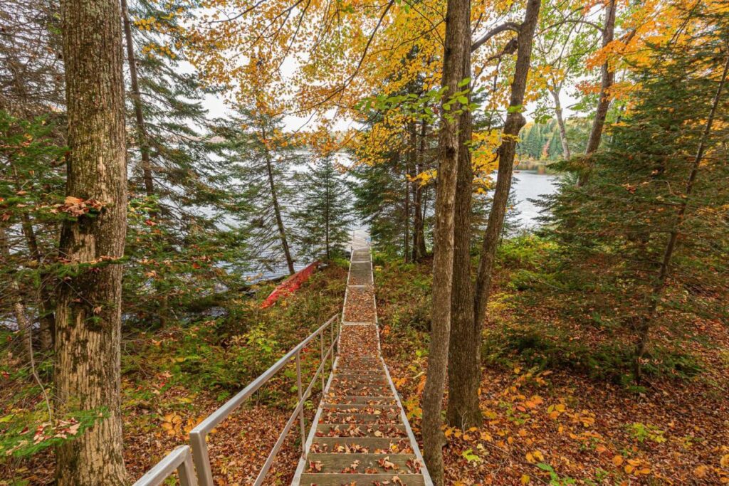 劳伦琴地区自然住宅丨Daoust Lestage建筑公司-17