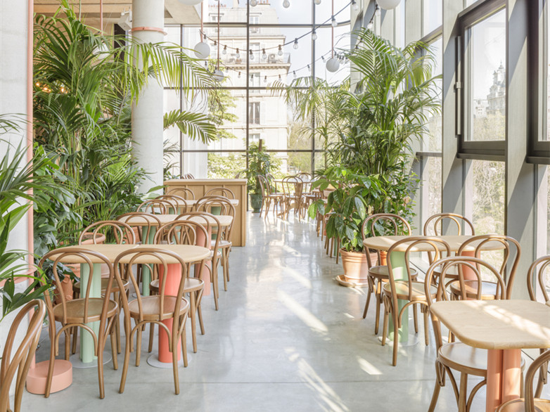 法国 TiTi Palacio 餐厅丨法国巴黎-2