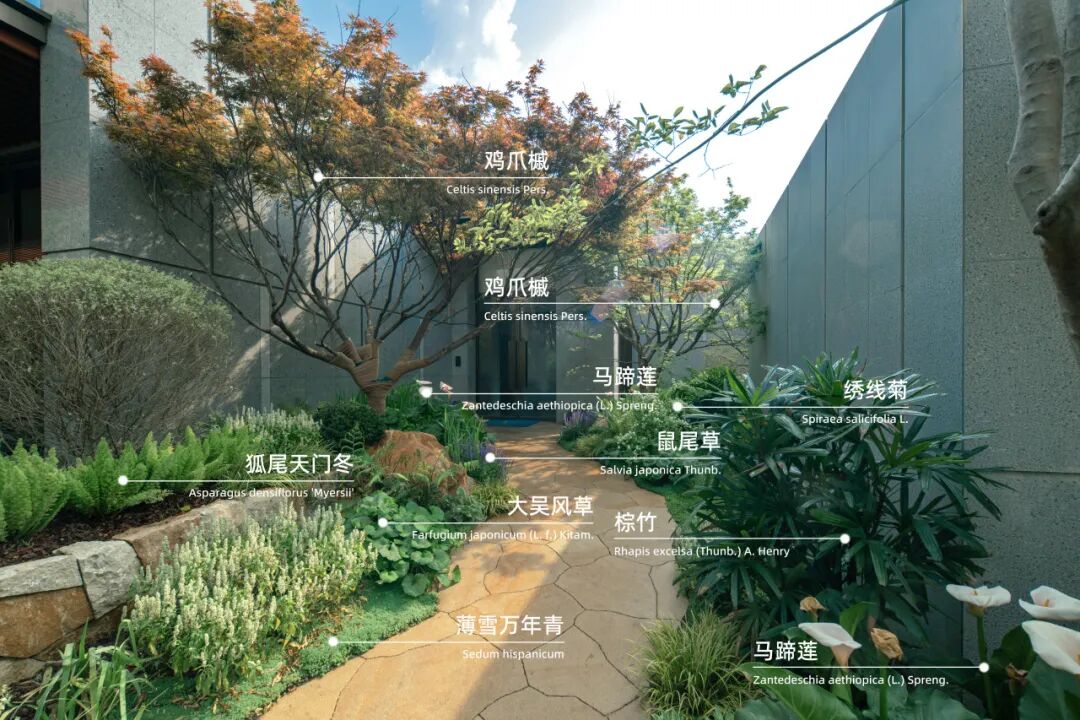 层叠的野性丨武汉瑞安城市展厅-34