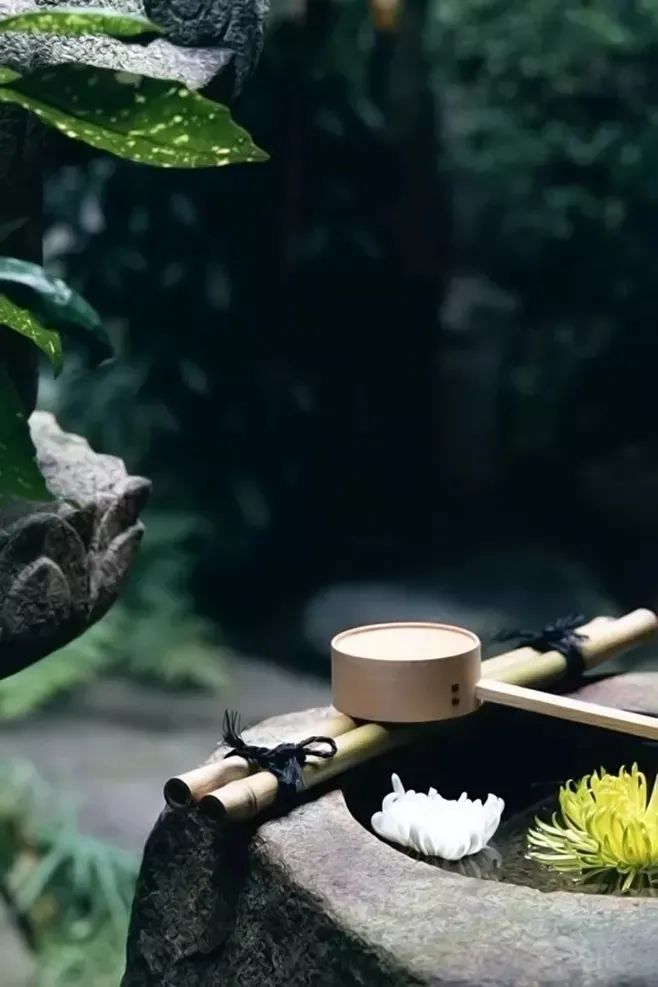 寻回端午情愫,共享棕香诗意-11