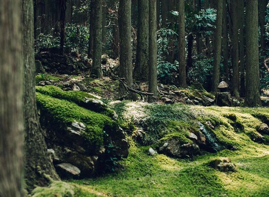 Setouchi Cominca Stay · 传统与现代的日本民宿丨Katsumi yamashita,Shiro miura-12