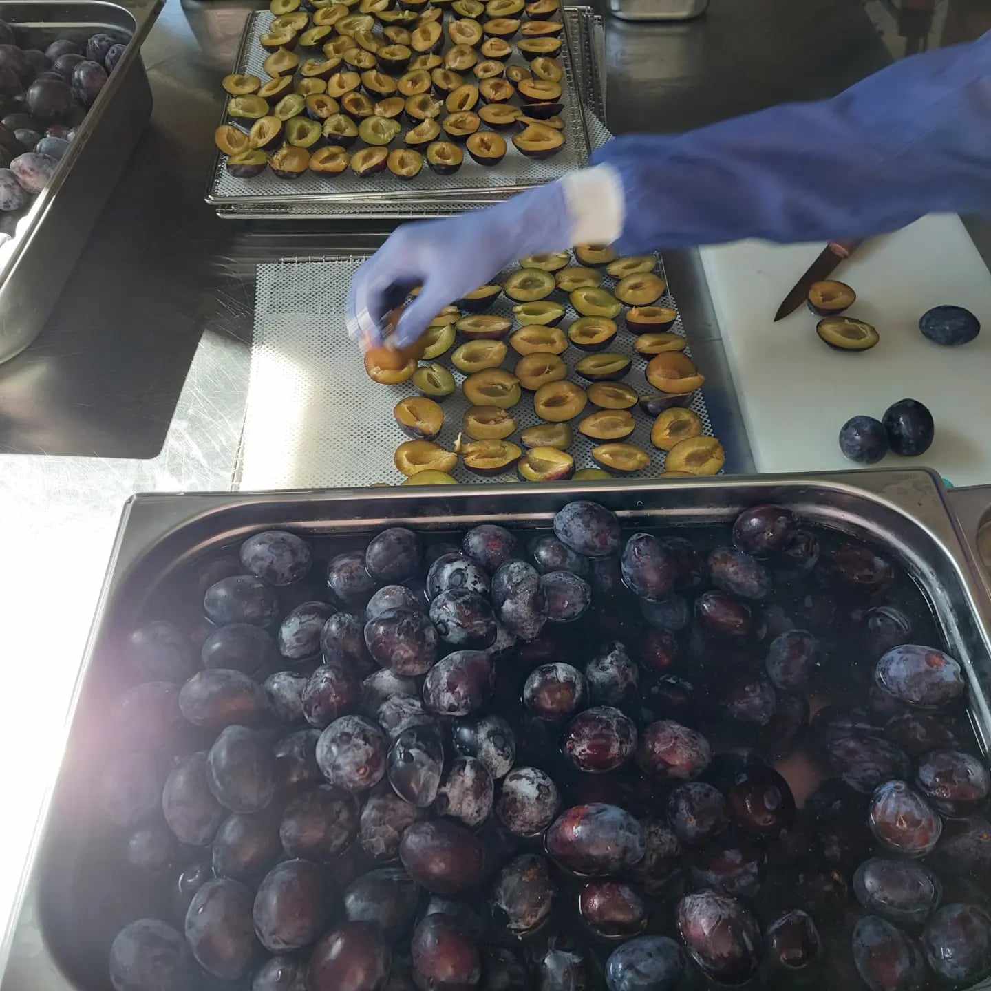 “სკიჯის სახლი”生态旅游项目-14