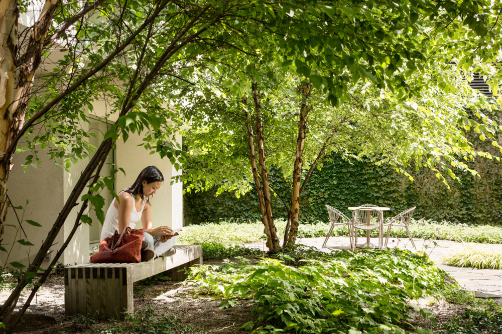 
          Austin Nichols Warehouse & Waterfront - SCAPE      -2